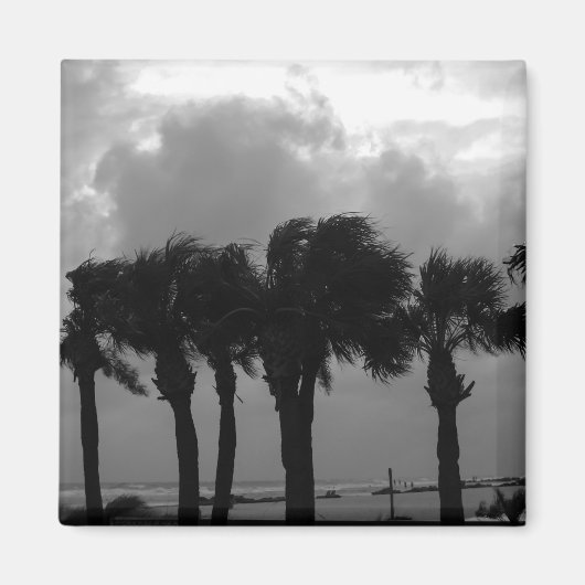 Tropical Stormy Skies Grayscale Magnet (Vorne)