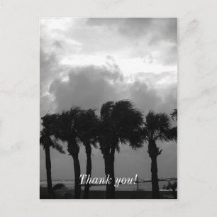 Tropical Stormy Skies Grayscale Postkarte