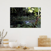 Tropical Streams Poster (Küche)