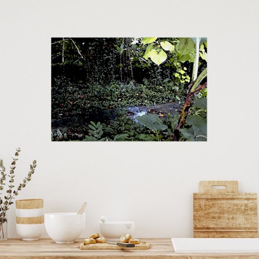Tropical Streams Poster (Küche)