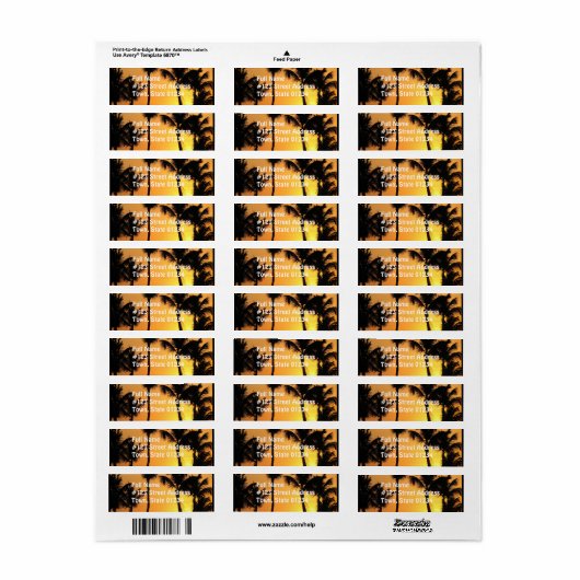 Tropical Sunset Mailing Label (Vorne)