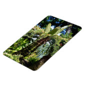 Tropical Tree Foto Magnet (Linke Seite)