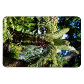 Tropical Tree Foto Magnet (Horizontal)