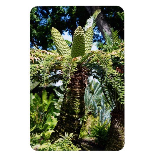 Tropical Tree Foto Magnet (Vertikal)
