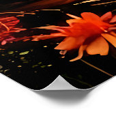 Tropical Twilight Poster (Ecke)