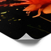 Tropical Twilight Poster (Ecke)