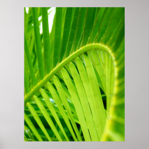 (Tropical Twirl) Poster Print