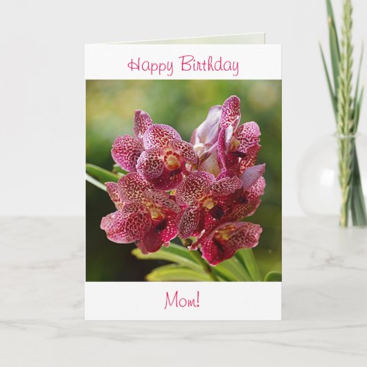 Tropical Vanda Orchid Birthday Card Karte (Vorderseite)