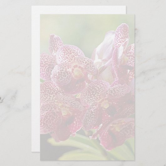 Tropical Vanda Orchid Cluster Briefpapier (Vorne/Hinten)