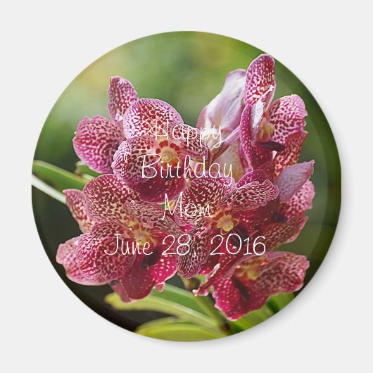 Tropical Vanda Orchid Cluster Button Magnet (Vorne)