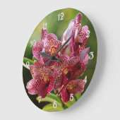Tropical Vanda Orchid Cluster Große Wanduhr (Winkel)