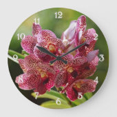 Tropical Vanda Orchid Cluster Große Wanduhr (Vorderseite)