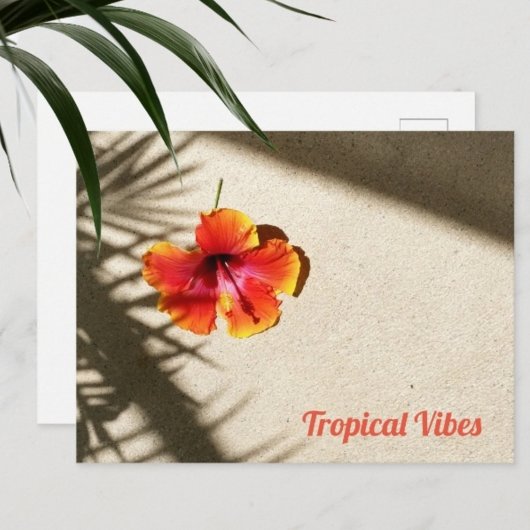 Tropical Vibes Hibiskus Postkarte