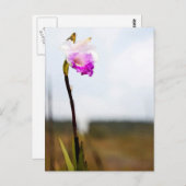 Tropical Wild Orchid Print Hawaii Postkarte (Vorne/Hinten)