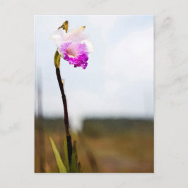 Tropical Wild Orchid Print Hawaii Postkarte