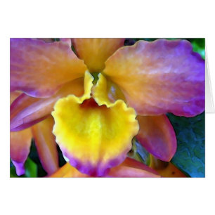 Tropicana Orchidee
