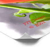 Tropicana-Rose - Malerei Poster (Ecke)