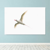 Tropicbird Leinwanddruck (Insitu (Holzboden))