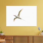 Tropicbird Leinwanddruck (Insitu (Wohnzimmer))