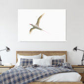 Tropicbird Leinwanddruck (Insitu (Schlafzimmer))