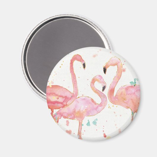 tropisch | Ansammlung Flamingos Magnet (Vorderseite/Rückseite)