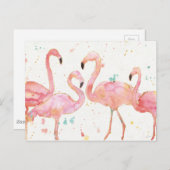 tropisch | Ansammlung Flamingos Postkarte (Vorne/Hinten)