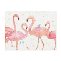 tropisch | Ansammlung Flamingos