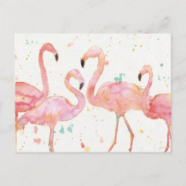 tropisch | Ansammlung Flamingos Postkarte