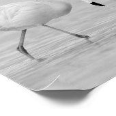 Tropisch-druckbare Kunst und Kunst in Schwarz und  Poster (Ecke)