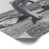 Tropisch-druckbare Schwarz-Weiß-Dolphin-Kunst Poster (Ecke)