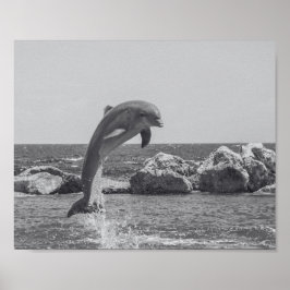 Tropisch-druckbare Schwarz-Weiß-Dolphin-Kunst Poster