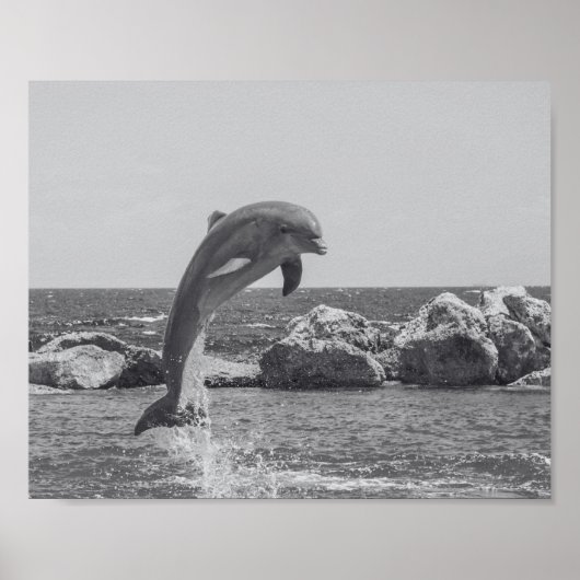 Tropisch-druckbare Schwarz-Weiß-Dolphin-Kunst Poster (Vorne)