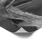 Tropisch-druckbare Schwarz-Weiß-Dolphin-Kunst Poster (Ecke)