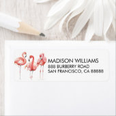 tropisch | Familie Flamingos (Insitu)