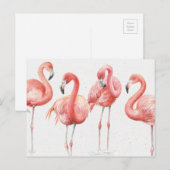 tropisch | Familie Flamingos Postkarte (Vorne/Hinten)