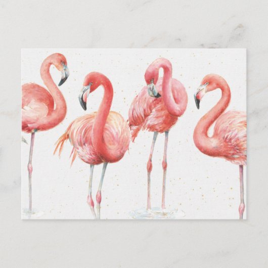 tropisch | Familie Flamingos Postkarte (Vorderseite)