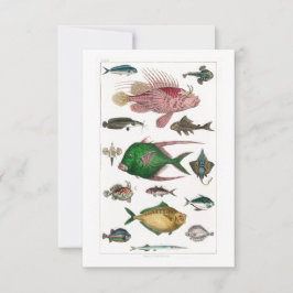 Tropisch-farbige Fische RSVP Karte