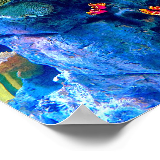 Tropisch-farbiges Korallenriff Poster (Ecke)