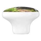 Tropisch gestreifte Keramik Keramikknauf (Seitenansicht)