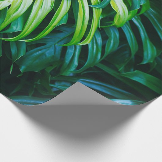 Tropisch grüne Blätter auf dunklem Hintergrund, Na Geschenkpapier (Ecke)