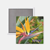 Tropisch-hawaiianische Blume Bird-of-Paradise Kaua Magnet (Vorderseite/Rückseite)