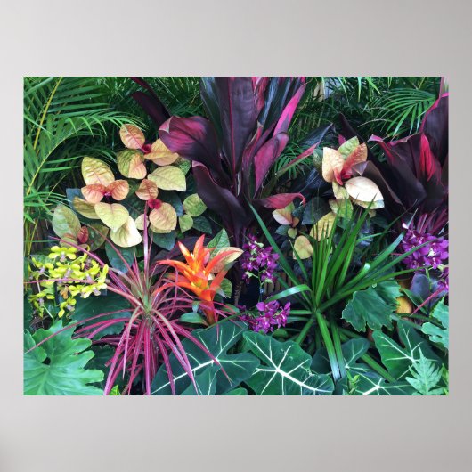 Tropisch-Hawaiianische Flora Poster (Vorne)