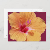 Tropisch-hawaiianische Postkarte (Vorne/Hinten)