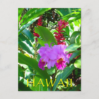 Tropisch Lila hawaiianische Blume Postkarte