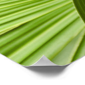 tropisch poster (Ecke)