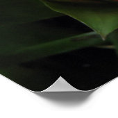 tropisch poster (Ecke)