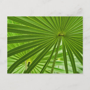 tropisch postkarte