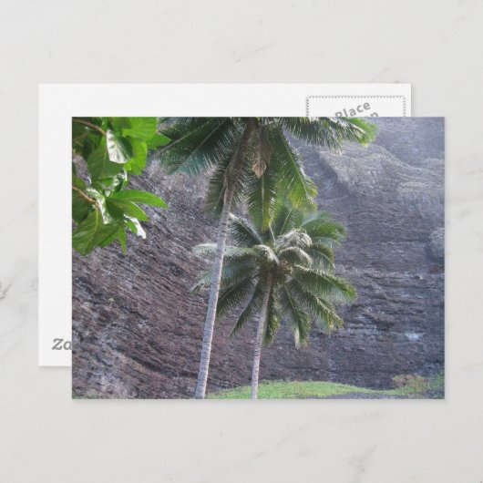 tropisch postkarte (Vorne/Hinten)