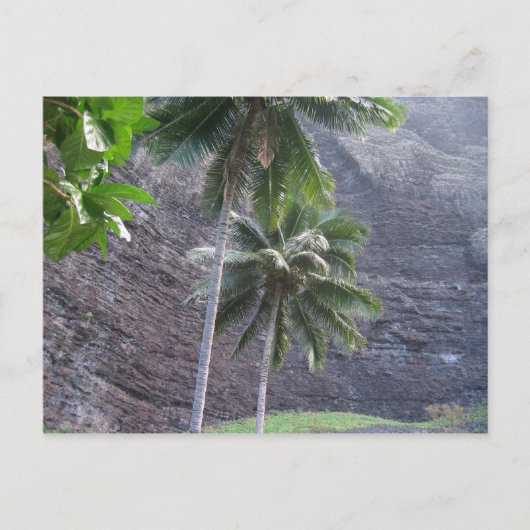 tropisch postkarte (Vorderseite)