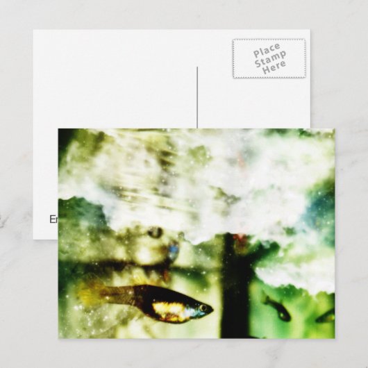 tropisch postkarte (Vorne/Hinten)